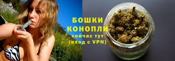 прущая мука Бородино
