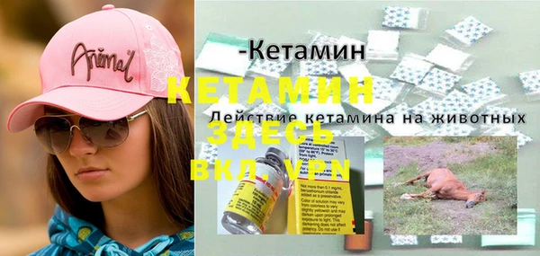 гидра Вяземский