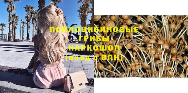 дживик Волосово