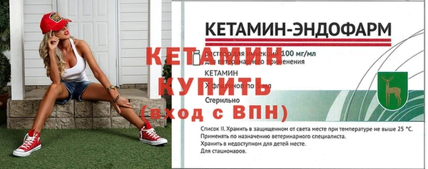 гидра Вяземский